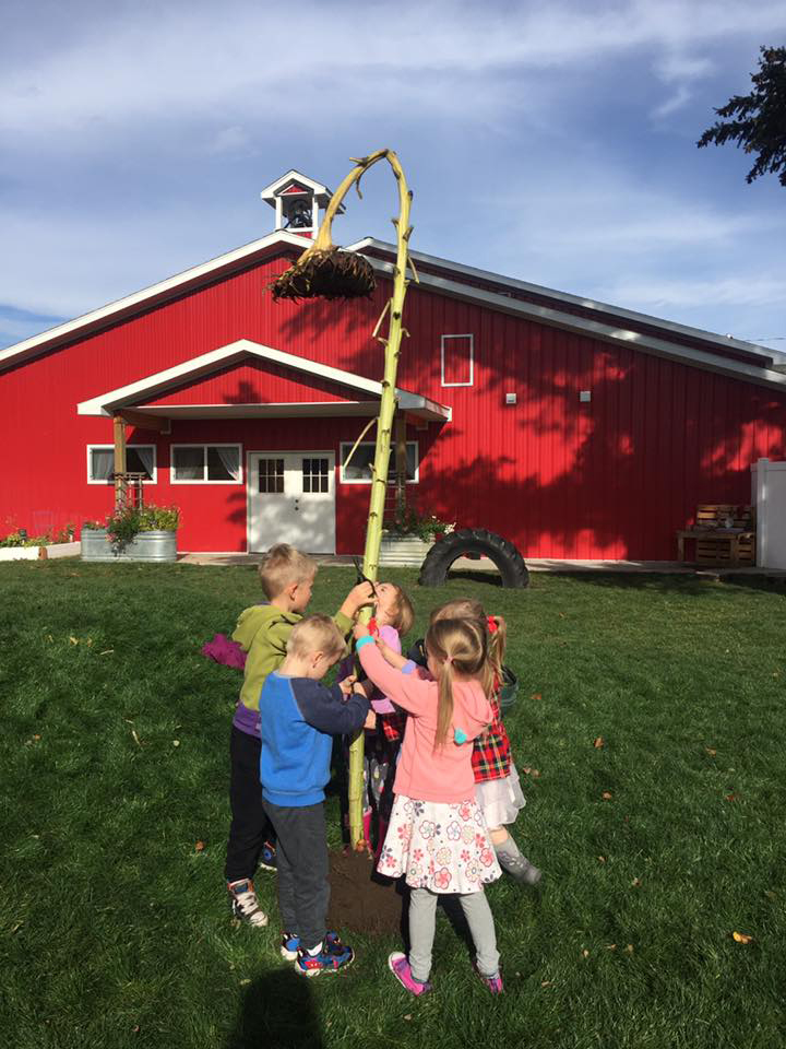Keet_Sweet_Preschool_Kindergarten_Science_Gardening_Learning_Coeur_d_Alene_Idaho_21