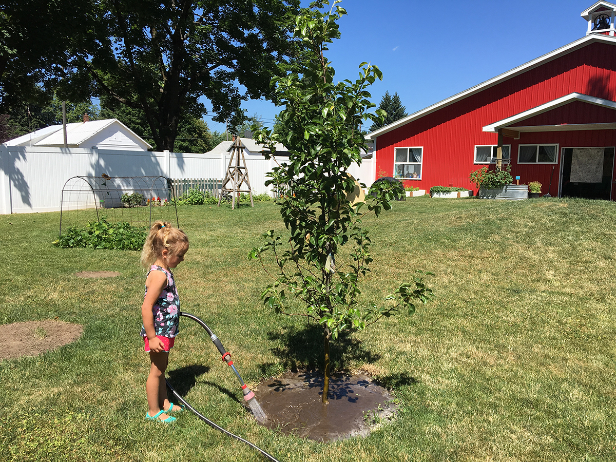 Keet_Sweet_Preschool_Kindergarten_Science_Gardening_Learning_Coeur_d_Alene_Idaho_58