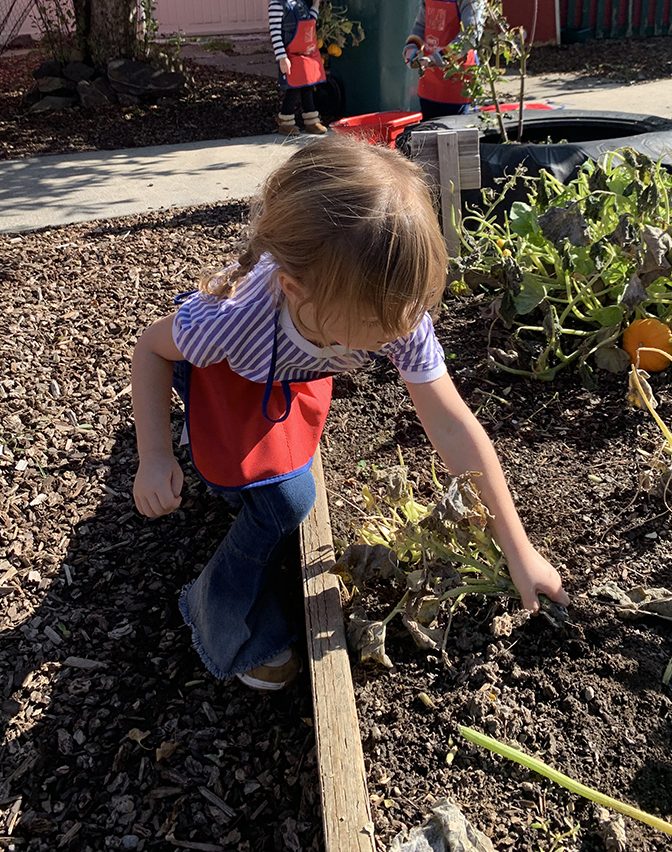 Keet_Sweet_Preschool_Kindergarten_Science_Gardening_Learning_Coeur_d_Alene_Idaho_63